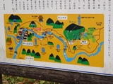 今日の目的は、コレ。