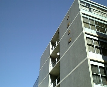 0801250020.JPG