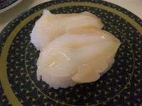 ツブ貝。.JPG