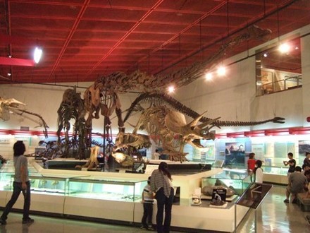 化石の展示室!.JPG