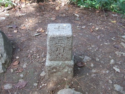 山頂にあった三角点。.JPG