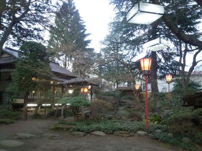 桜はこれから。.jpg