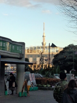 oXgVbg炢H